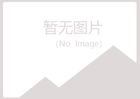 九江庐山蓝天化学有限公司